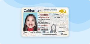 Fake Driver License California
