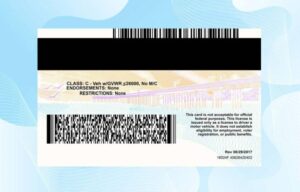 Fake Driver License California