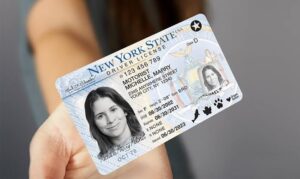 Buy New York Driver License
