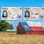 fake international drivers license