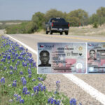 buy real and fake texas driver s license
