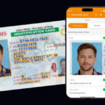 fake illinois drivers license