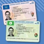 Buy real and  fake Ireland driving licence